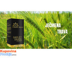 Barley Grass Premium – Ječmena trava