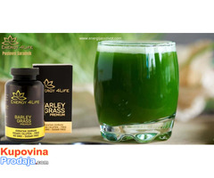 Barley Grass Premium – Ječmena trava - Fotografija 3/4