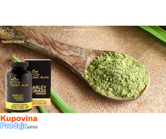 Barley Grass Premium – Ječmena trava - Fotografija 4/4