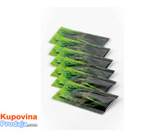 Barley Grass – Kesice - Fotografija 3/3