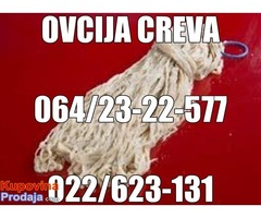 CREVA JAGNJECA - Fotografija 2/4