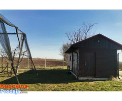 Voćnjak trešnje u punom rodu, 1.5 Ha, Srbobran - Fotografija 9/10
