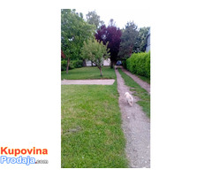 Avala, blizu megamarketa Koka Mar, 200 m2