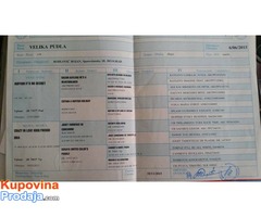 Velika PUDLA - crni muzjak - Fotografija 6/10