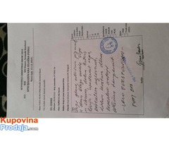 Velika PUDLA - crni muzjak - Fotografija 8/10