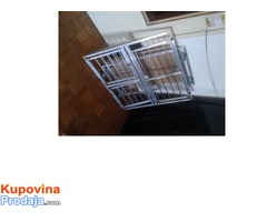 Stolovi za grooming i kavezi za pse - Fotografija 5/8