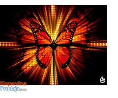 Ciscenje Posledica Abortusa