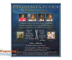 Patuljasta Pudla štenad na prodaju - Fotografija 1/8