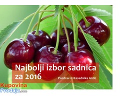 Zdrave sadnice za jesen 2016 - Fotografija 2/2